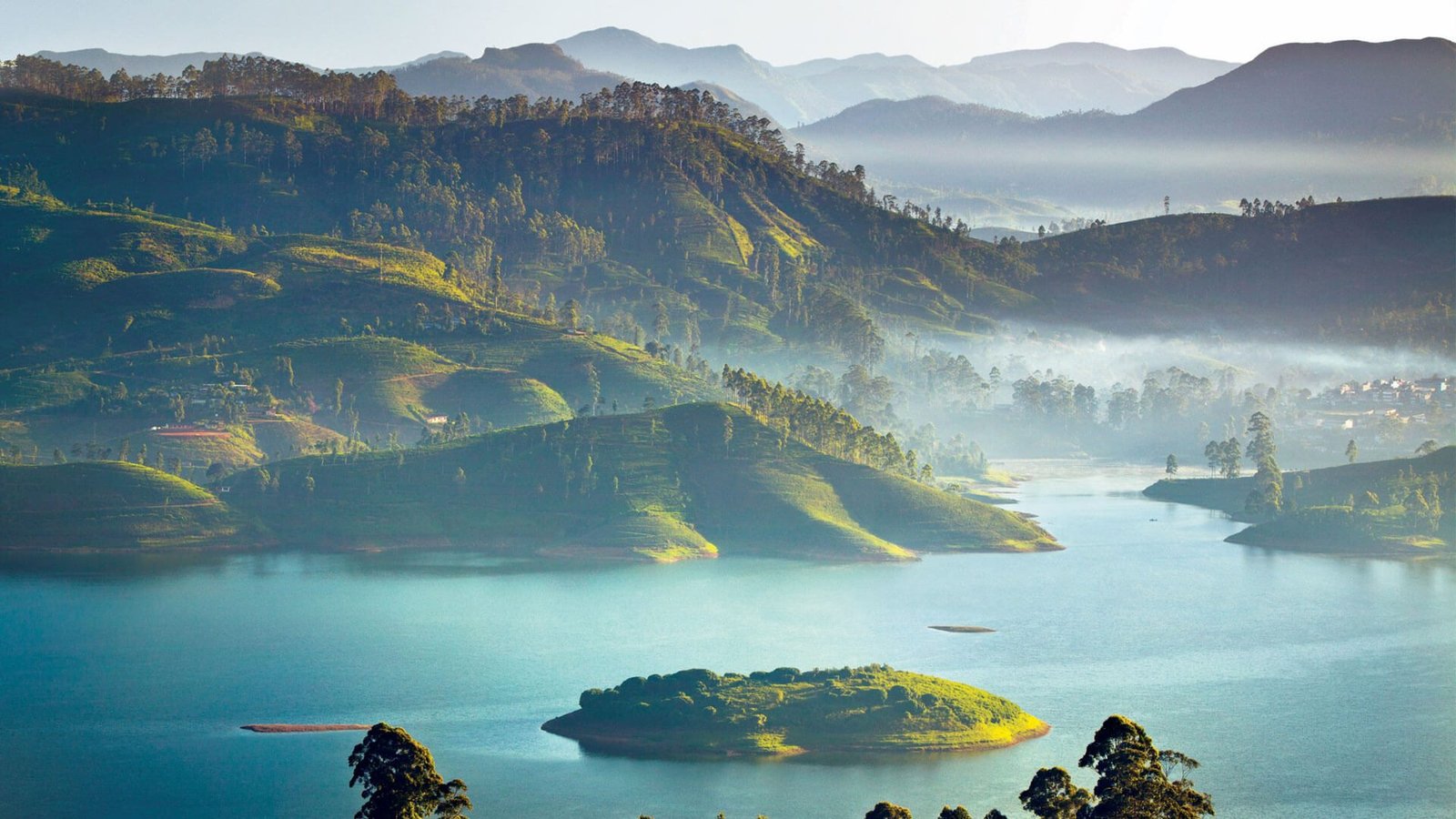 Home ceylon tea trails hatton lake